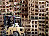 Forklift with pallets