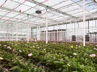 Greenhouse2030