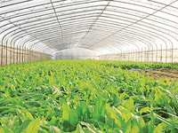greenhouse CO2 oxygen green