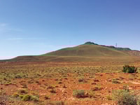 Holbrook