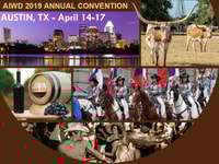 main_collage_2019_full_772
