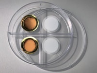 MIT-Gated-Membranes-01-PRESS_0