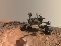 pia19808