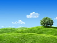Renewable energy[3]