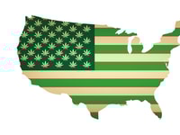 RGB 96_Usa map as green flag with cannabis leaf. Vector image
