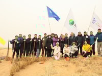 液化空气携手SEE基金会在阿拉善种植梭梭 Air Liquide partner with SEE Foundation to plant saxaul trees in Alxa