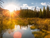 shutterstock_1153075439