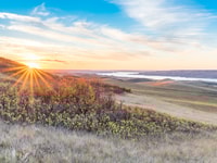 shutterstock_1193903950