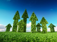 shutterstock_1194256762