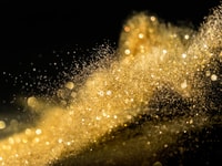 shutterstock_1216478176