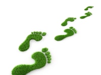shutterstock_1449580460