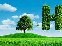 shutterstock_1641581776
