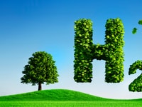 shutterstock_1643363851