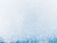 shutterstock_1987786733