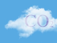 shutterstock_2105137178