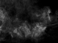 shutterstock_573039199
