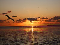 sunset-3915472_960_720