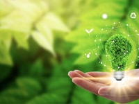 Sustainability green