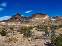 Texas us