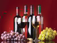 The Afrox gas preserving our wine making industry WINE PIC for SO2