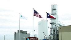 1004733_1176TexasPlantFlags