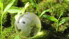 1025309_greenworld_808523