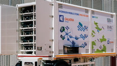 1025546_Calvera