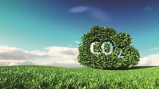 1031566_carbondioxideemissionscontrolconcept.3drenderingofco2cloudonfreshspringmeadowwithblueskyinbackground_580487