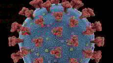 1033548_coronavirusrespiratoryinfectionsviruses9j4cn4c_43345