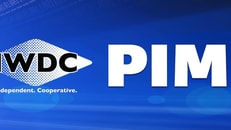 1036543_pimcsrheader_692847_crop