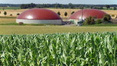 1041348_shutterstock_146705414_968578