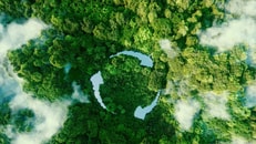 1042148_shutterstock_2042393249_338113