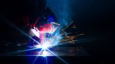 1168_pr_PICS-5203