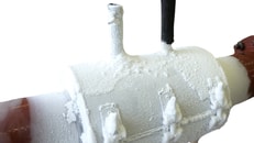 accu freeze paf pho 49 c frozen clam on pipe