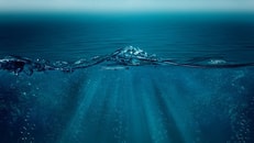 Aquaculture under the sea co2 storage