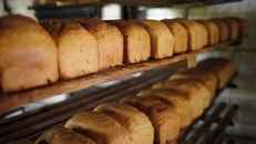 Carbond dioxide, nitrogen bakery bread, food and beverages