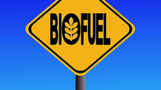 Biofuel sign green