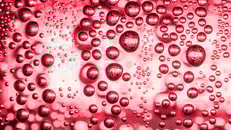 food and beverage carbonated bubbles copyright dkidpix