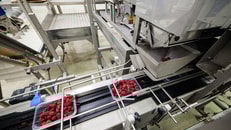 food and beverage processing machines copyright vladimir nenezic