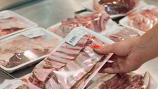 Food, frozen, processed, meat, packaged