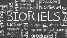 Green, Biofuels or Biofuel