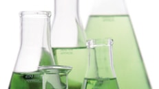 Green, Laboratory glass, conical Erlenmeyer, flasks, experiment, science research lab