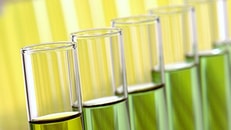 Green test tubes biofuel