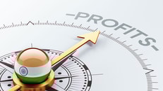 india profit concept