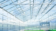 greenhouse CO2 oxygen green
