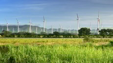 mexico windmills copyright soft light