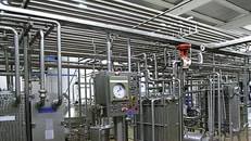 Pipes food factory processing
