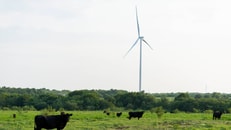 Airgas_Cleburne_ASU_Adds_Wind_Energy_-_NextEra_Image_Hubbard_Wind_Farm