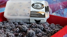 Blackberries (640x427)