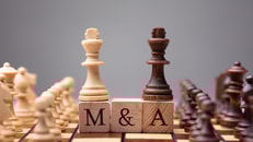 Close-up Of King Chess Pieces On Wooden Blocks With Mergers And Acquisitions